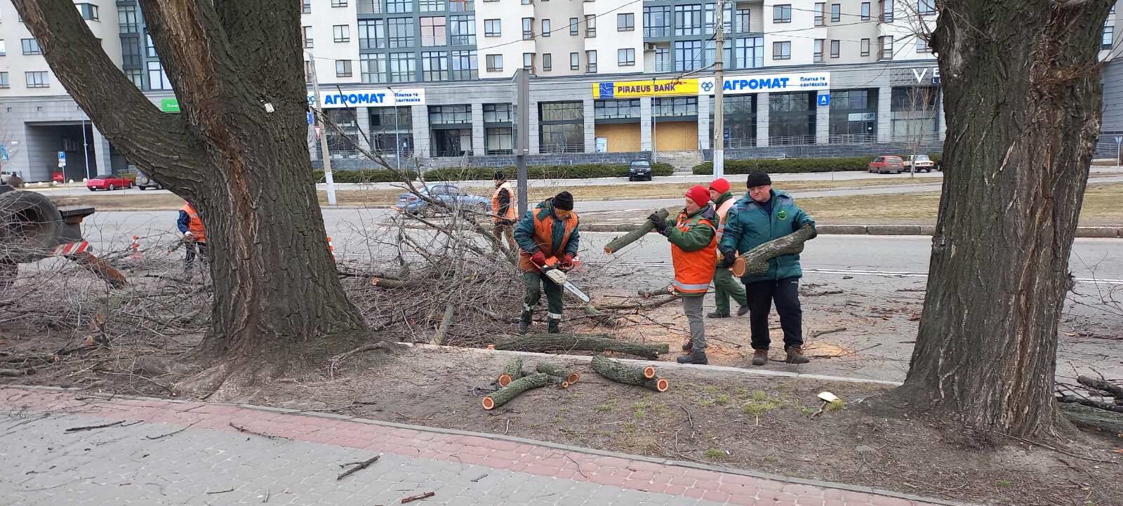 Кронують дерева на Основі комунальники Харкова